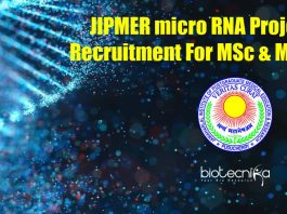 JIPMER SRF Job Vacancy