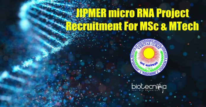 JIPMER SRF Job Vacancy