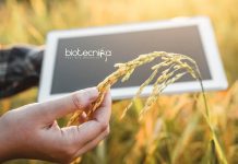 JNU Junior Research Fellow Job Recruitment – Applications Invited JNU Junior Research Fellow