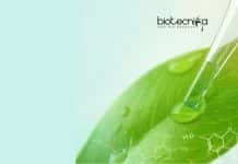 MACS ARI Pune Biotechnology/ Botany Senior Research Fellow Job MACS ARI Pune Biotechnology