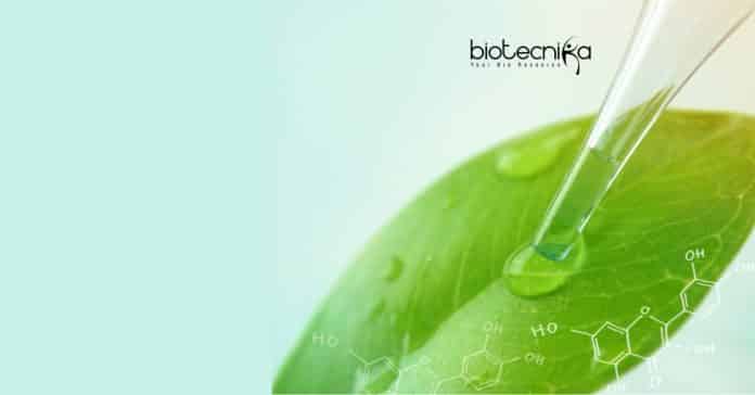 MACS ARI Pune Biotechnology