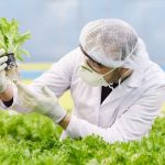 MACS ARI Pune JRF Job – Biotech / Botany & Microbiology Apply MACS ARI Pune JRF