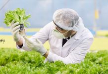 MACS ARI Pune JRF Job – Biotech / Botany & Microbiology Apply MACS ARI Pune JRF