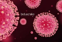 MAHE Associate Jobs – Virology / Biotech & Microbiology Apply MAHE Associate Jobs