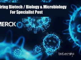 Merck Hiring