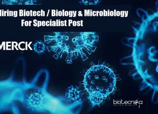 Merck Hiring