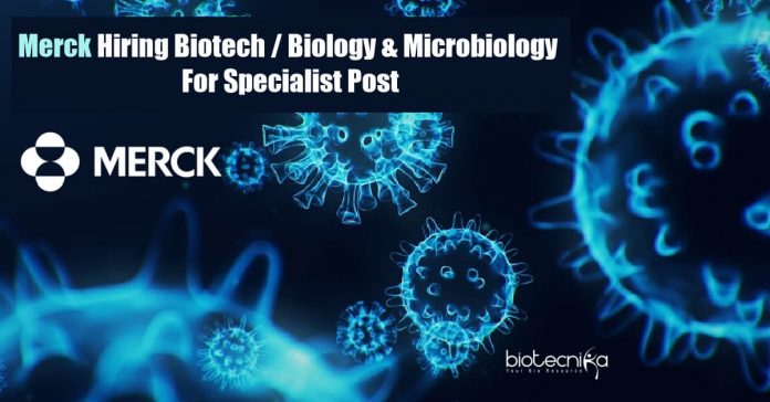 Merck Hiring