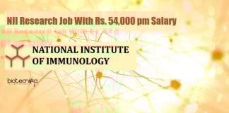 NII Jobs 2021