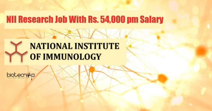 NII Jobs 2021
