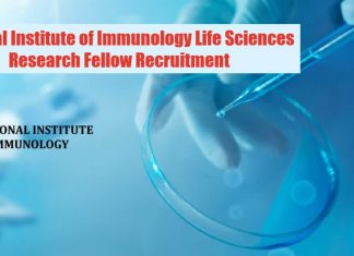 NII Project Research Recruitment