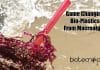 NIOT Develops Bioplastics From Seaweed