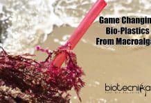 Bio-Plastics From Red Algae : A Sustainable Alternative For Conventional Plastics By NIOT NIOT Develops Bioplastics From Seaweed