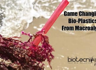 Bio-Plastics From Red Algae : A Sustainable Alternative For Conventional Plastics By NIOT NIOT Develops Bioplastics From Seaweed