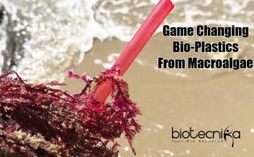 Bio-Plastics From Red Algae : A Sustainable Alternative For Conventional Plastics By NIOT NIOT Develops Bioplastics From Seaweed