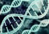 NIPGR Bioinformatics