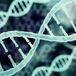 NIPGR Bioinformatics