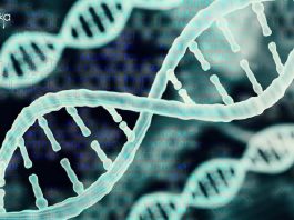 NIPGR Bioinformatics