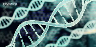 NIPGR Bioinformatics