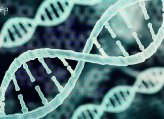 NIPGR Bioinformatics