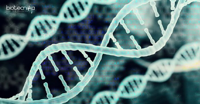 NIPGR Bioinformatics