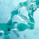 NIPGR Life Sciences PhD