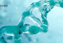 NIPGR Life Sciences PhD Research Associate Recruitment NIPGR Life Sciences PhD