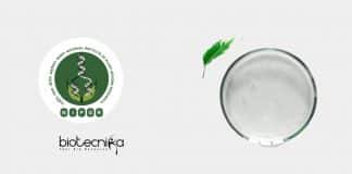 NIPGR Project Scientist Job