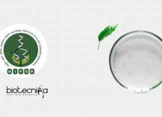 NIPGR Project Scientist Job