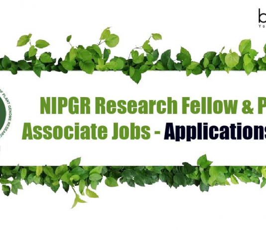 NIPGR Research Fellow