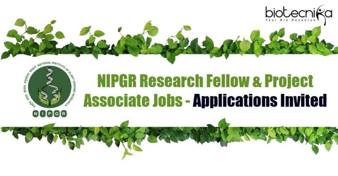 NIPGR Research Fellow