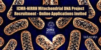NIRRH Careers