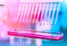 Novozymes Biotech & Biochem Job Recruitment – Apply Online Novozymes Biotech & Biochem