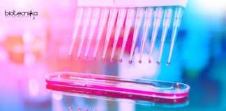 Novozymes Biotech & Biochem