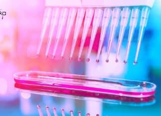 Novozymes Biotech & Biochem
