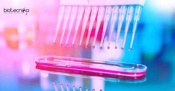 Novozymes Biotech & Biochem