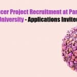 Panjab University Jobs