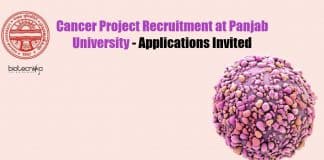 Panjab University Jobs