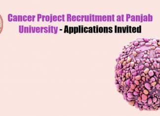 Panjab University Jobs