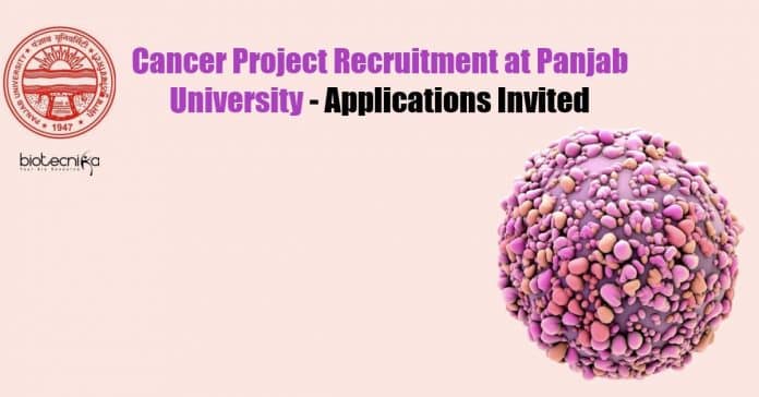 Panjab University Jobs