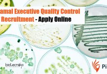 Piramal Executive Quality Control Recruitment – Apply Online Piramal Executive Quality Control