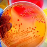 Pondicherry University Microbiology