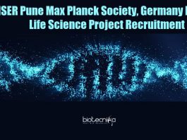 Project Assistant Job