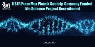 Project Assistant Job