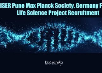 Project Assistant Job