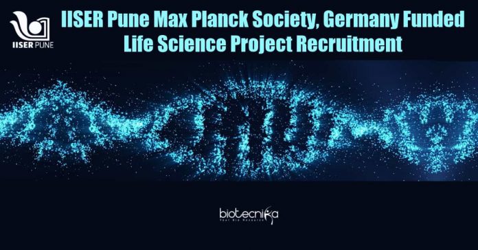 Project Assistant Job