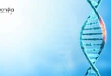 Indian Genetic Disease Database Project Assistant Job at University of Calcutta Project Assistant Jobs