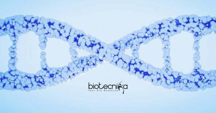 RCB Genomics