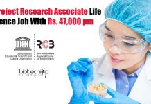 RCB Project Research Associate Life Science Job With Rs. 47,000 pm RCB Project Research Associate