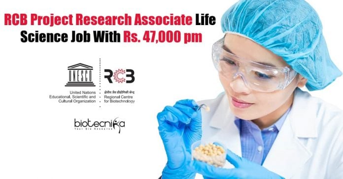 RCB Project Research Associate