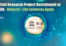 Stem Cell Research Project Recruitment at RCB – Biotech / Life Sciences Apply RCB Vacancy 2021